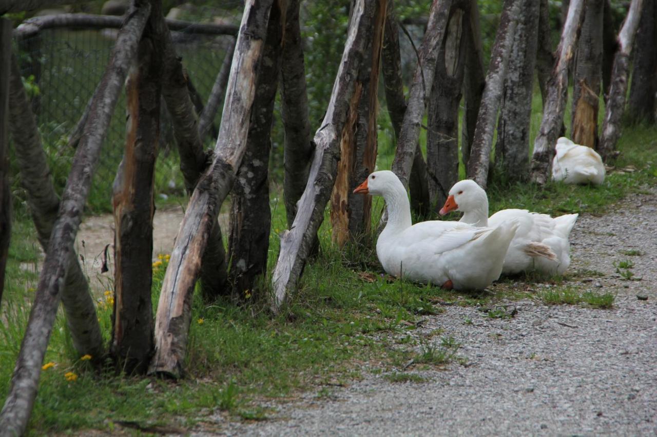 Albergo Lago Verde Pennabilli Kültér fotó